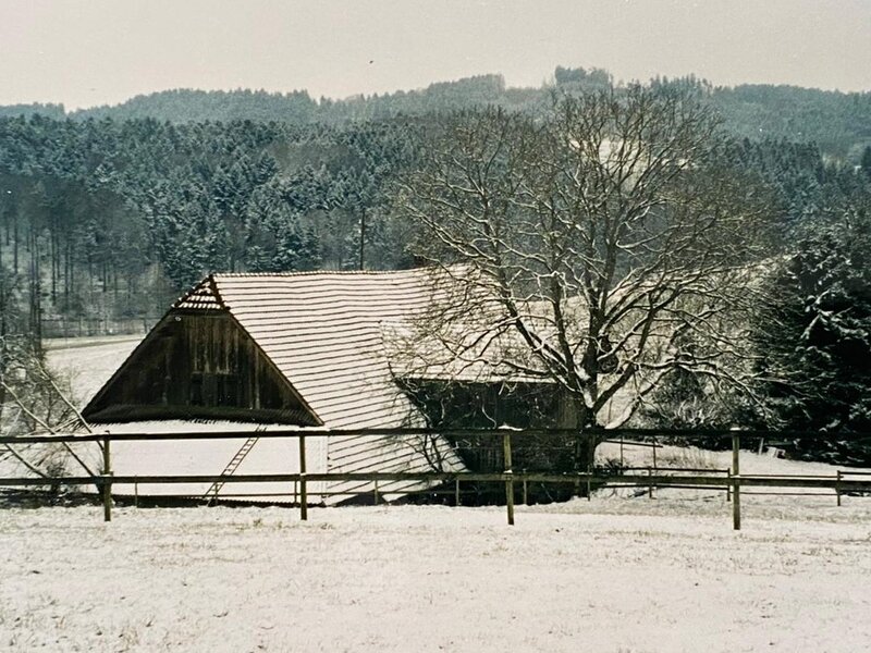 Grundstück Kunde mit Nussbaum | © Buchmann Schreinerei AG